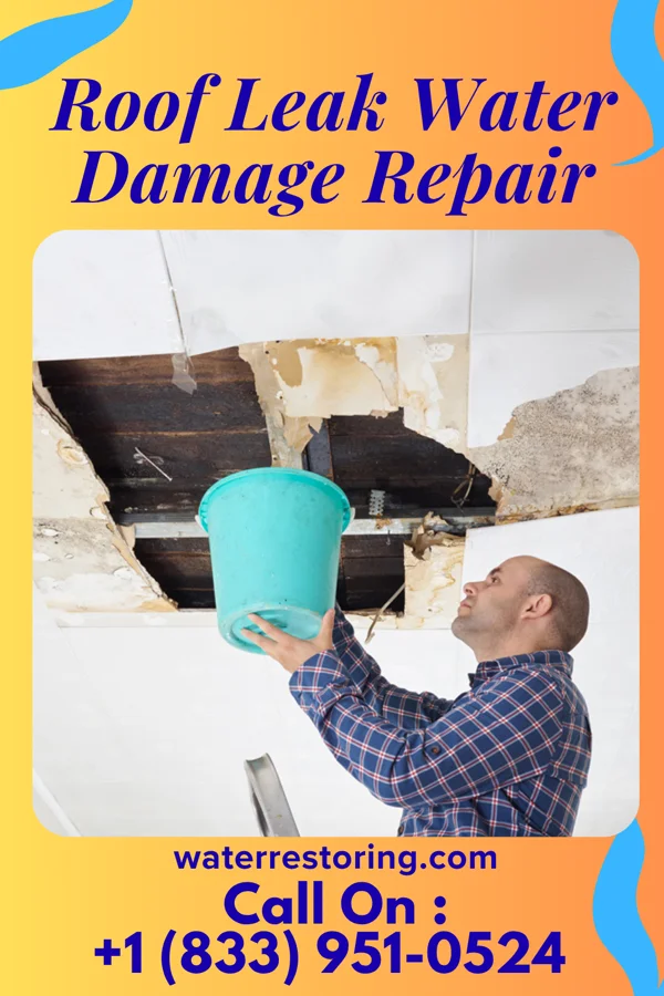 Roof Leak Water Damage Repair in South Coatesville, PA